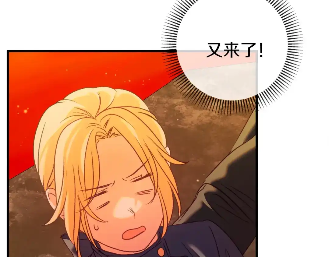 第206页