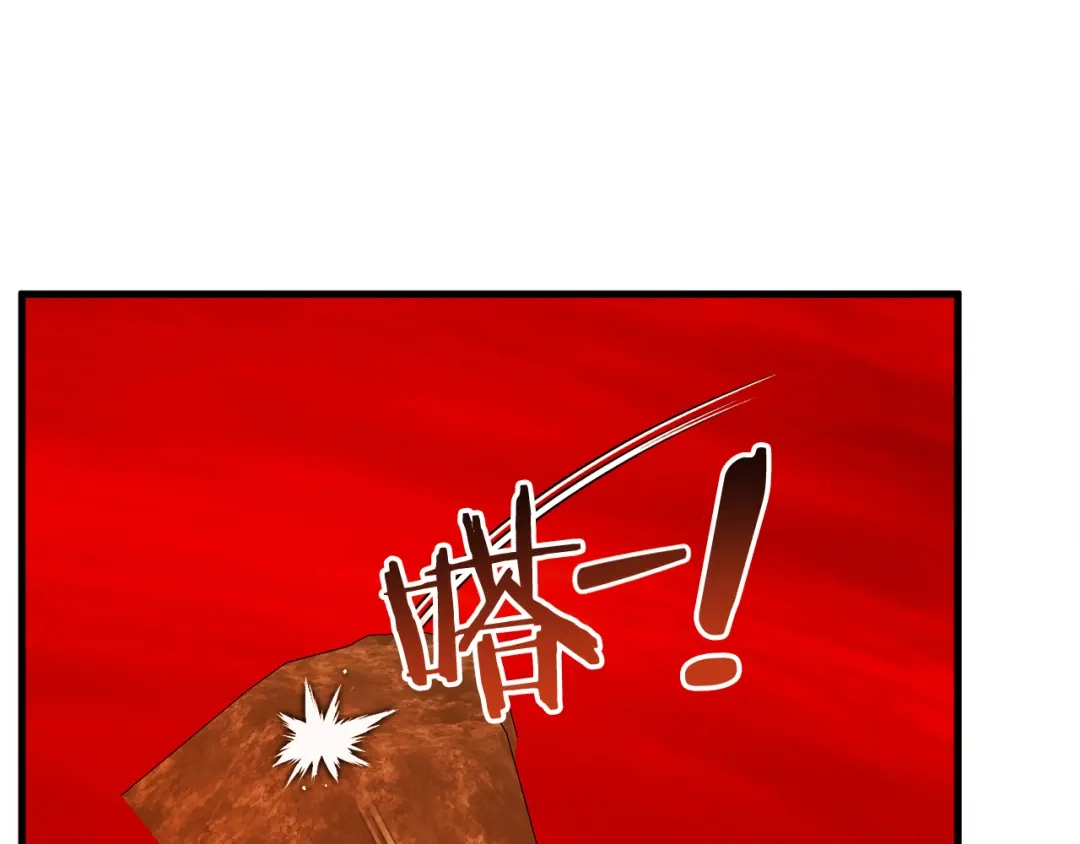 第215页