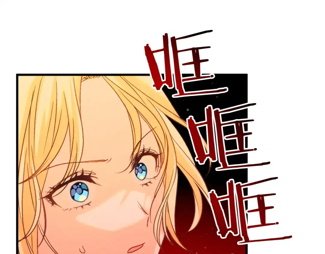 第223页