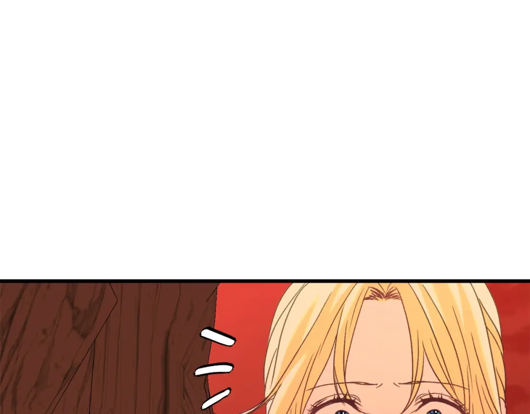 第243页