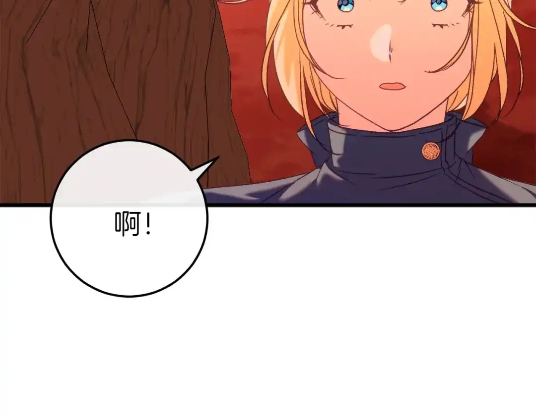 第244页