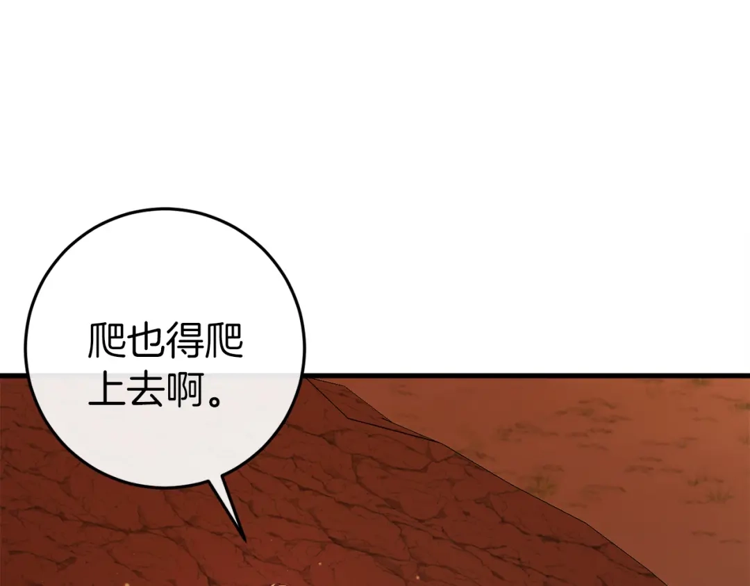 第256页