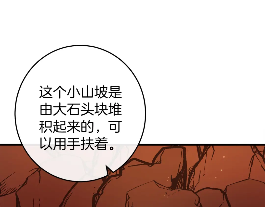 第260页