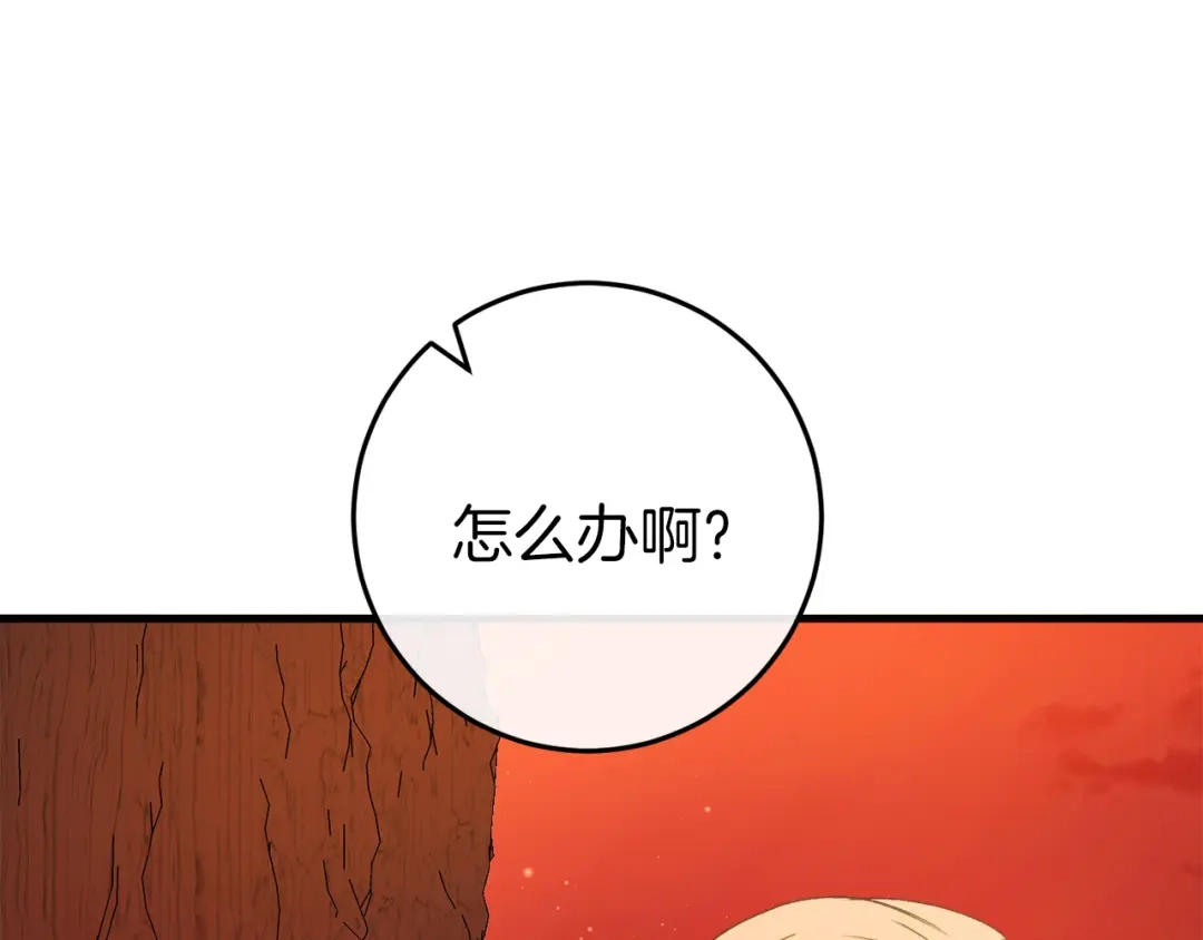 第267页
