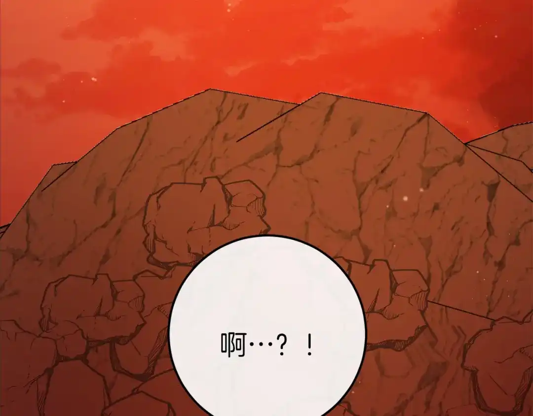 第294页