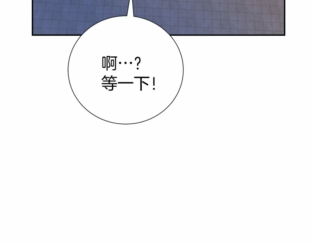第217页
