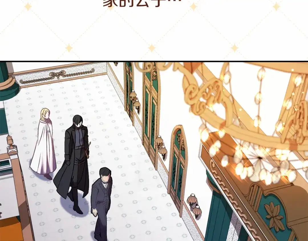 第242页