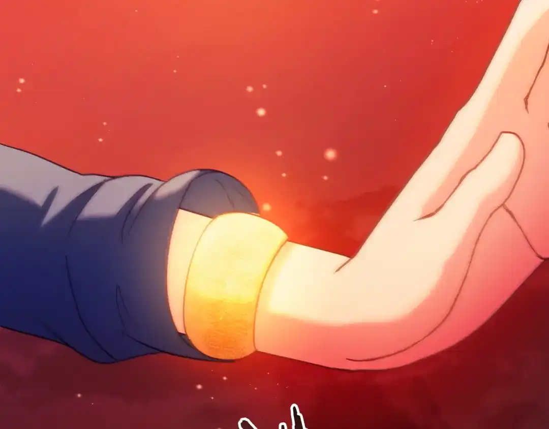 第215页
