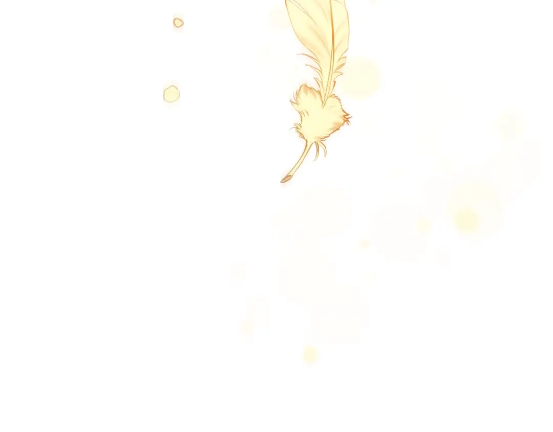 第221页