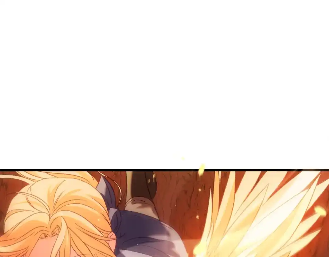 第240页