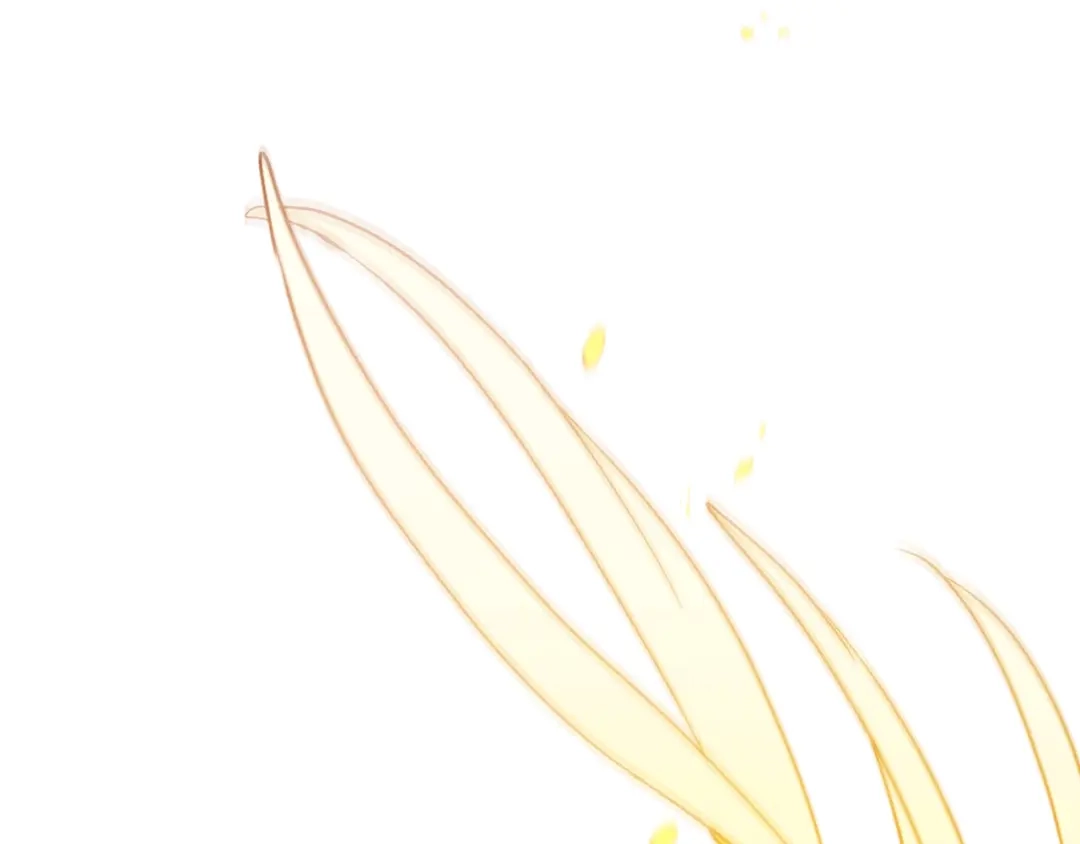 第242页