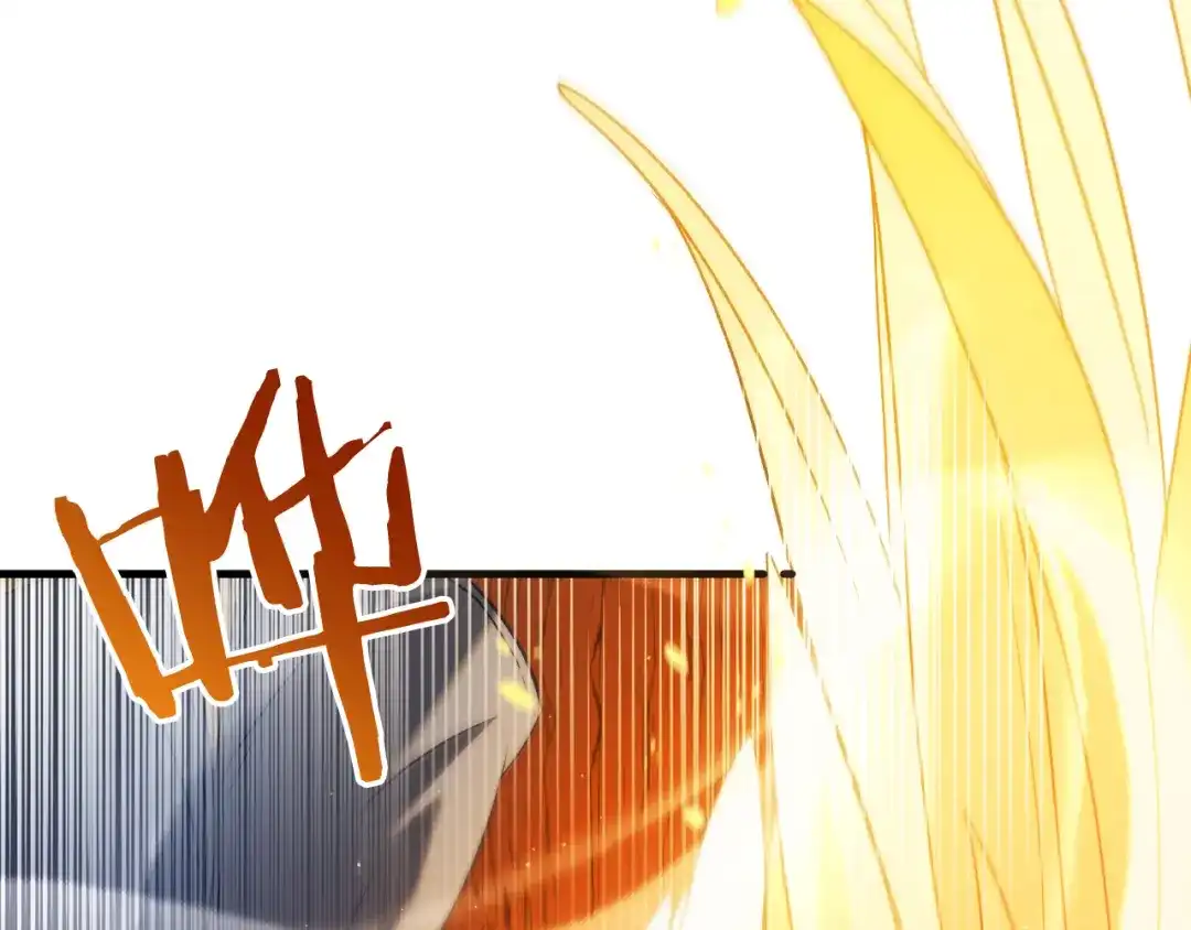 第243页