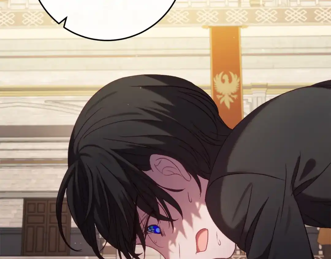 第213页