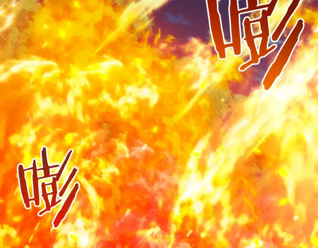 第241页