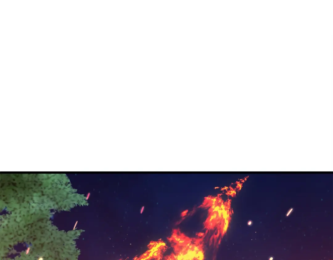 第250页