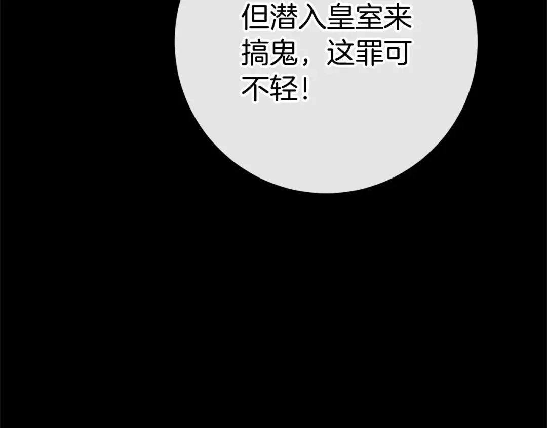 第217页