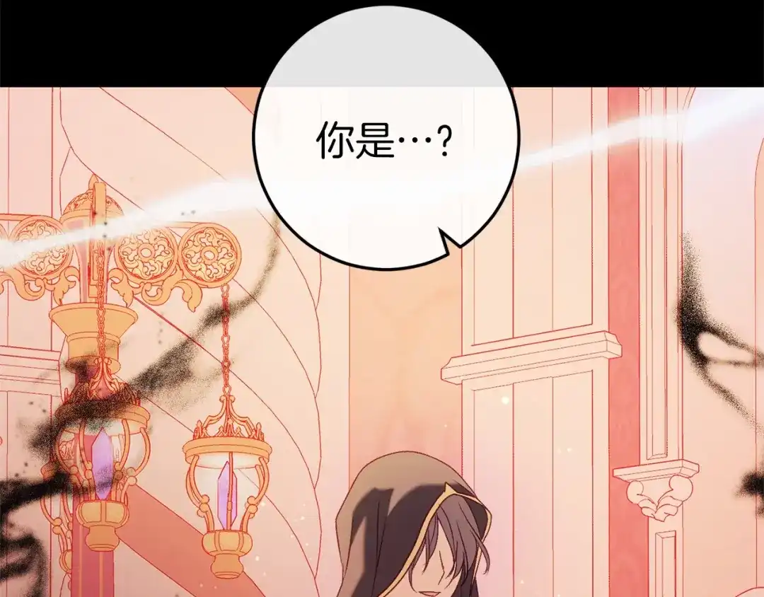 第236页