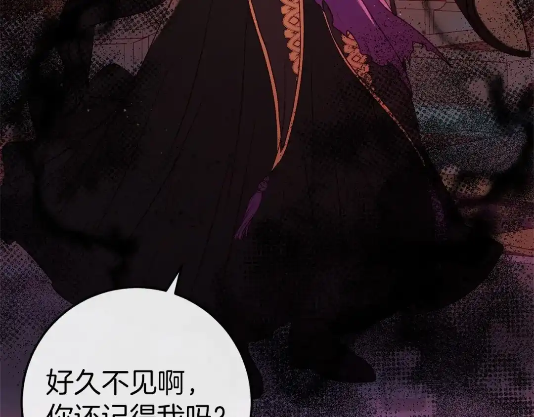 第238页