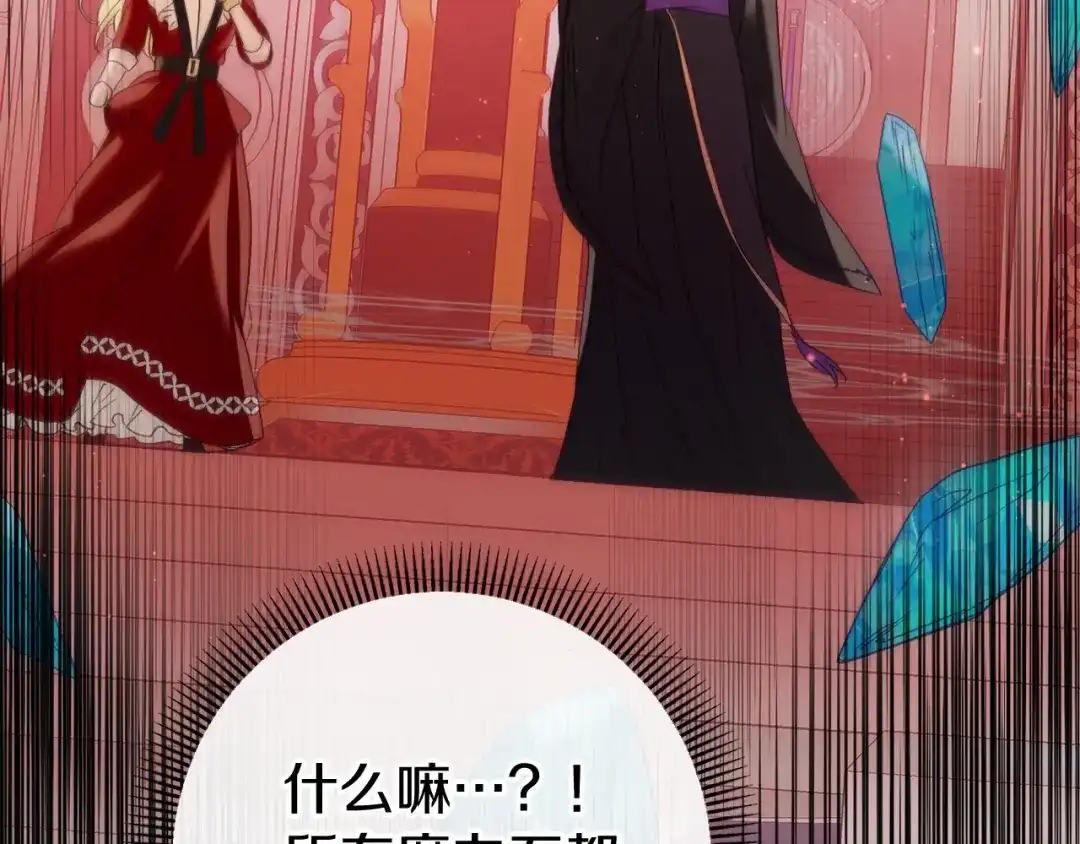 第244页