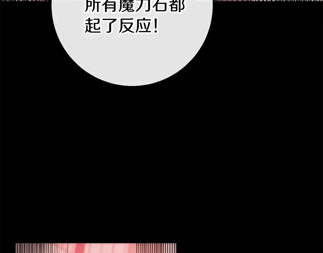 第245页