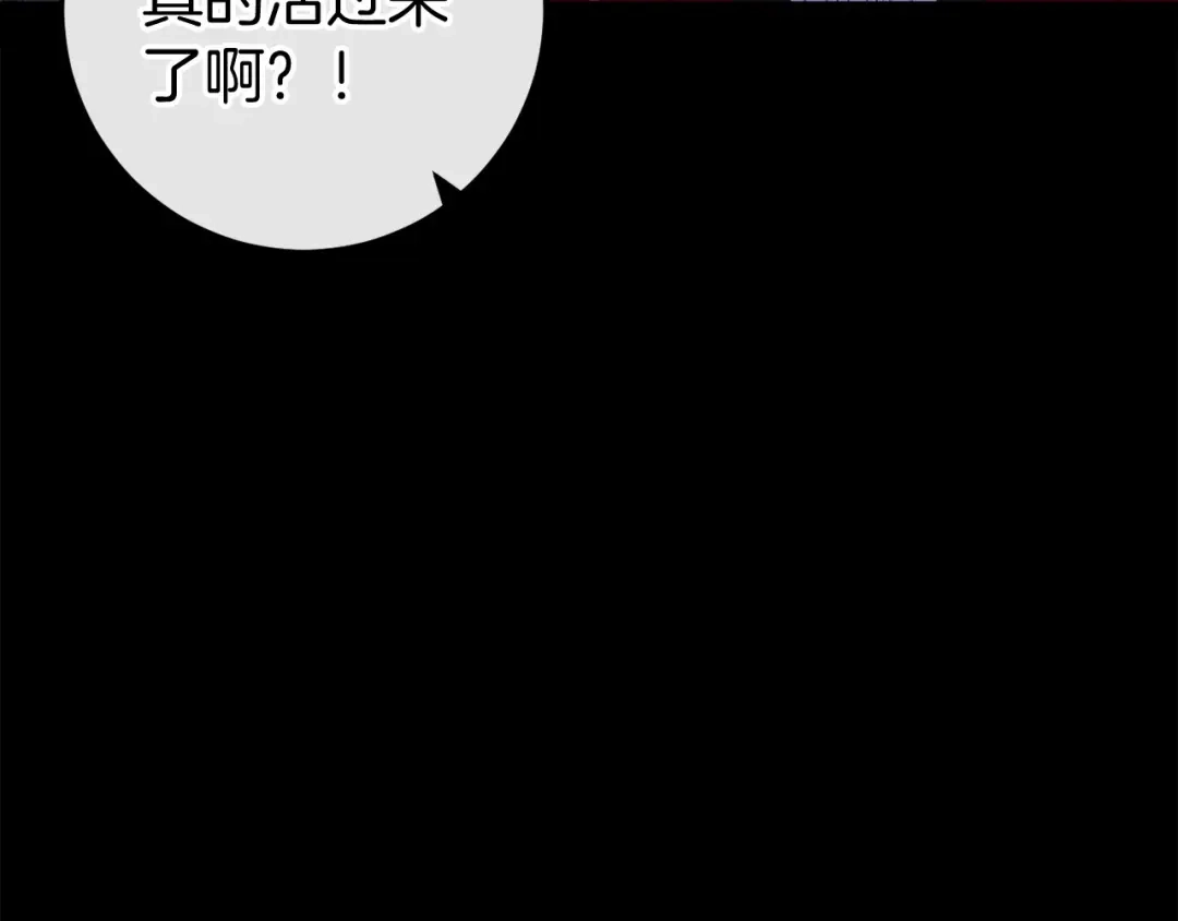 第278页