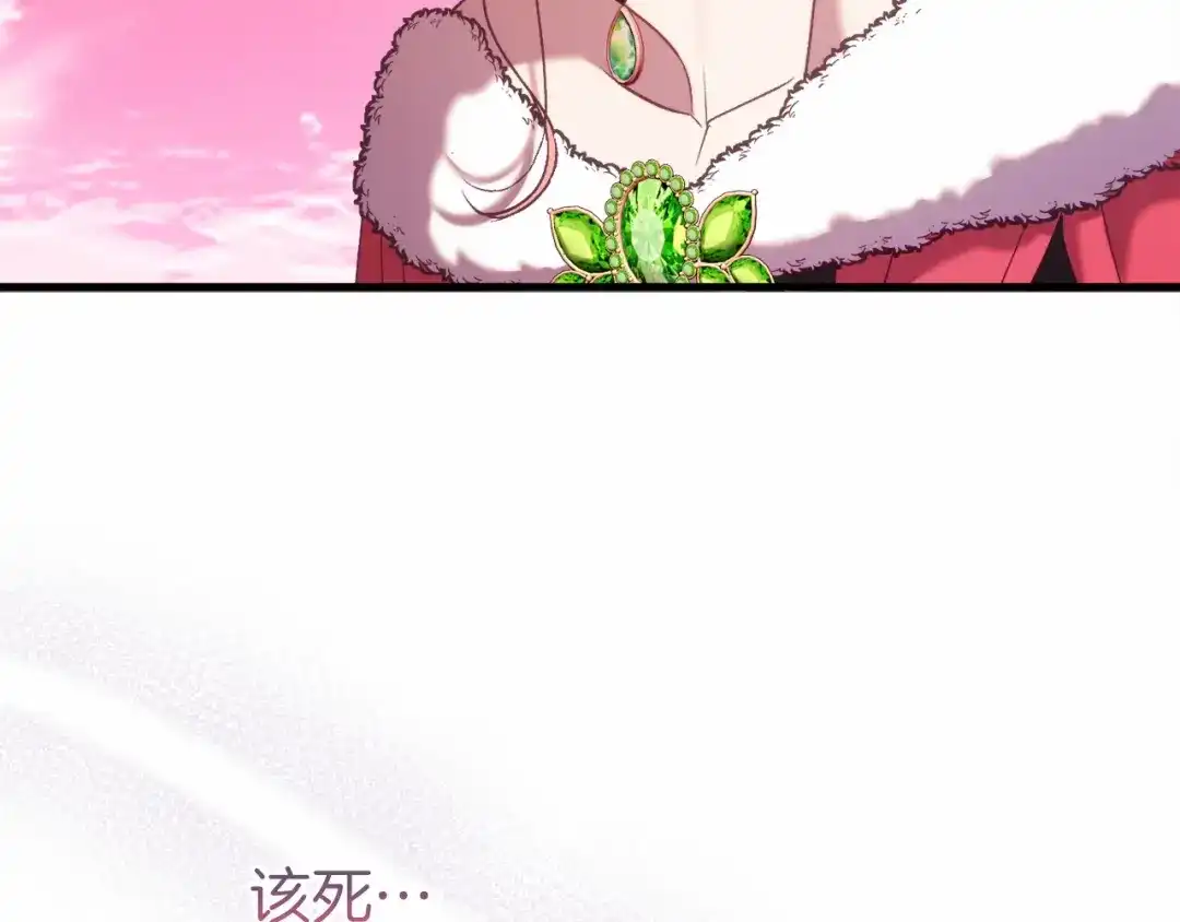 第223页