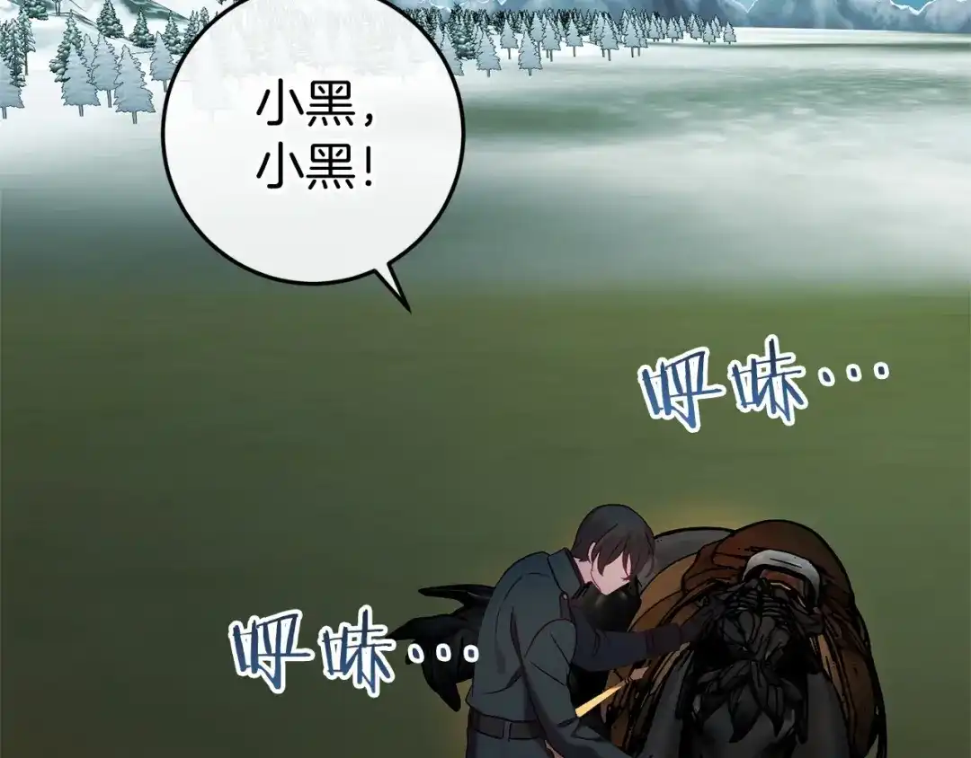 第240页