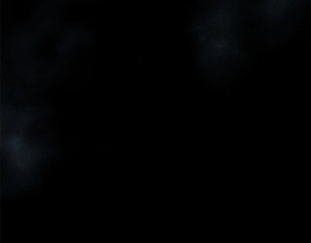 第313页