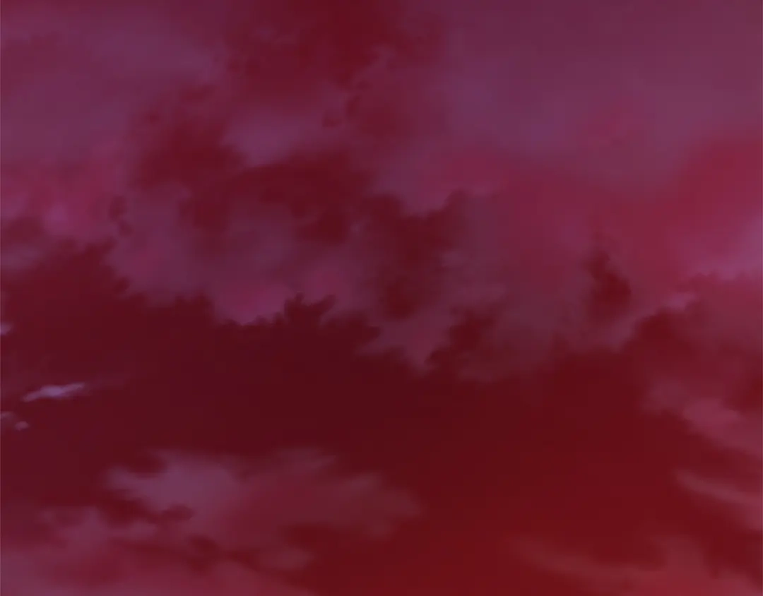 第231页