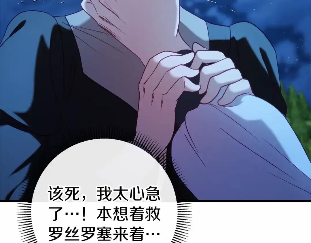 第204页