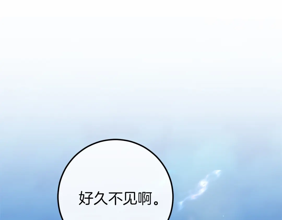 第239页