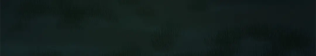 第237页