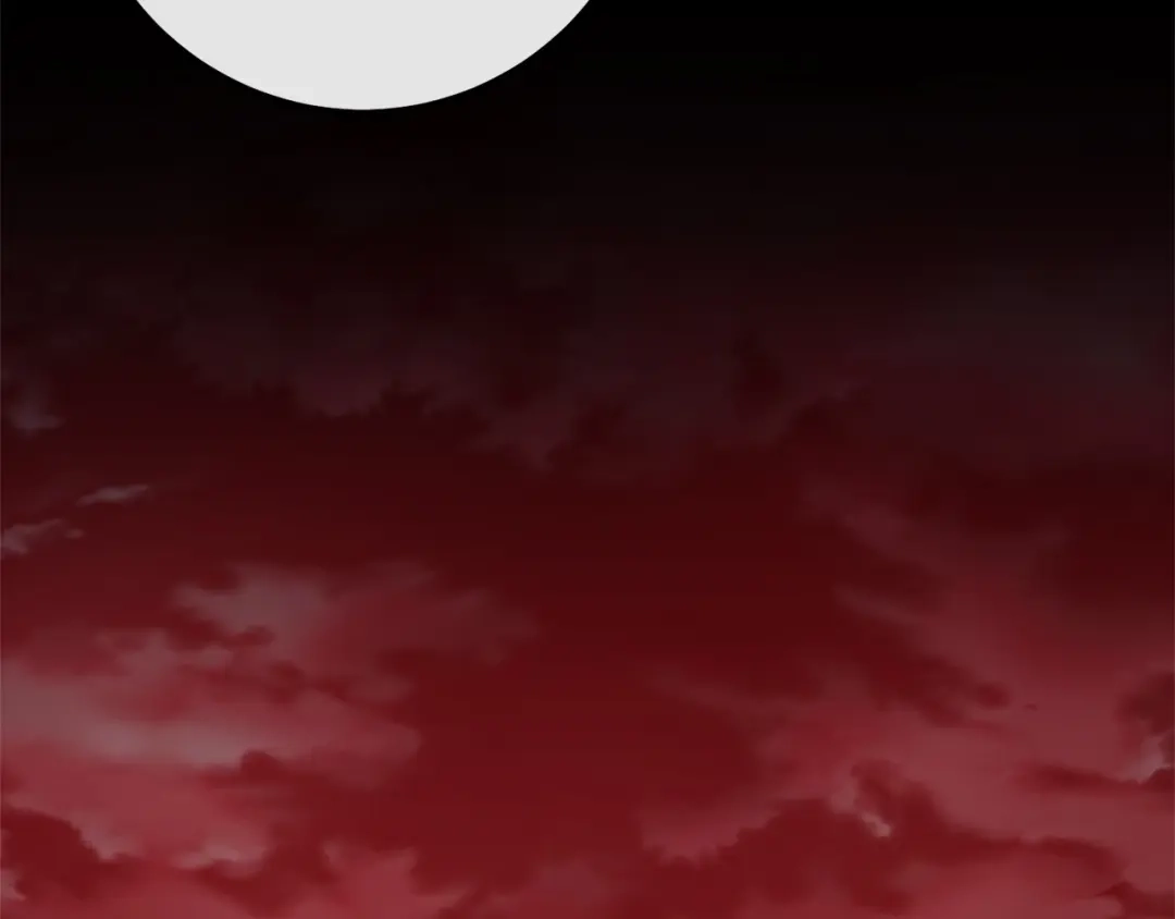 第241页