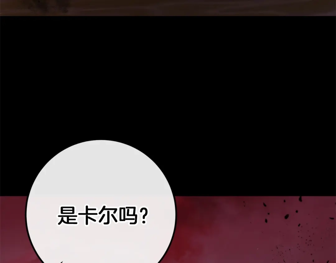 第244页