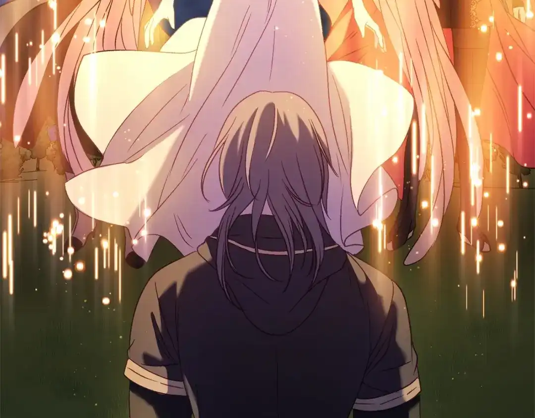 第228页