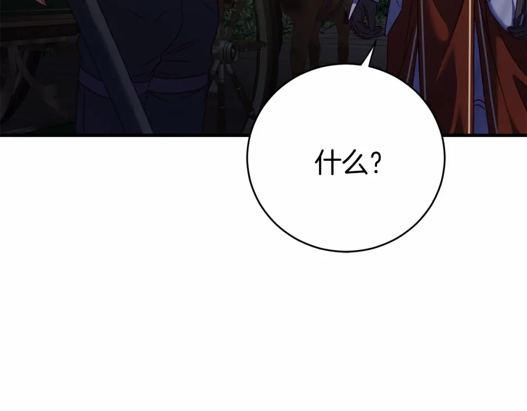 第223页