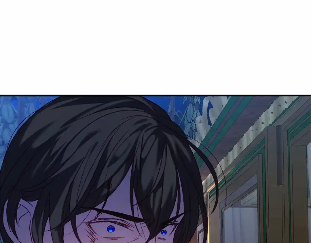 第224页