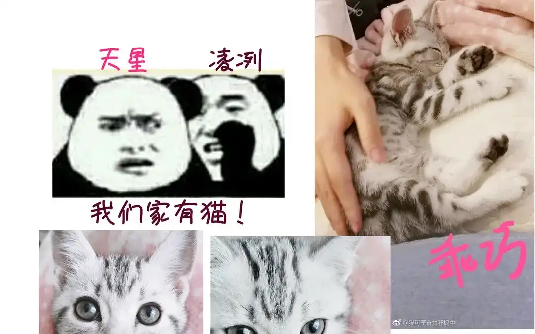 第94页