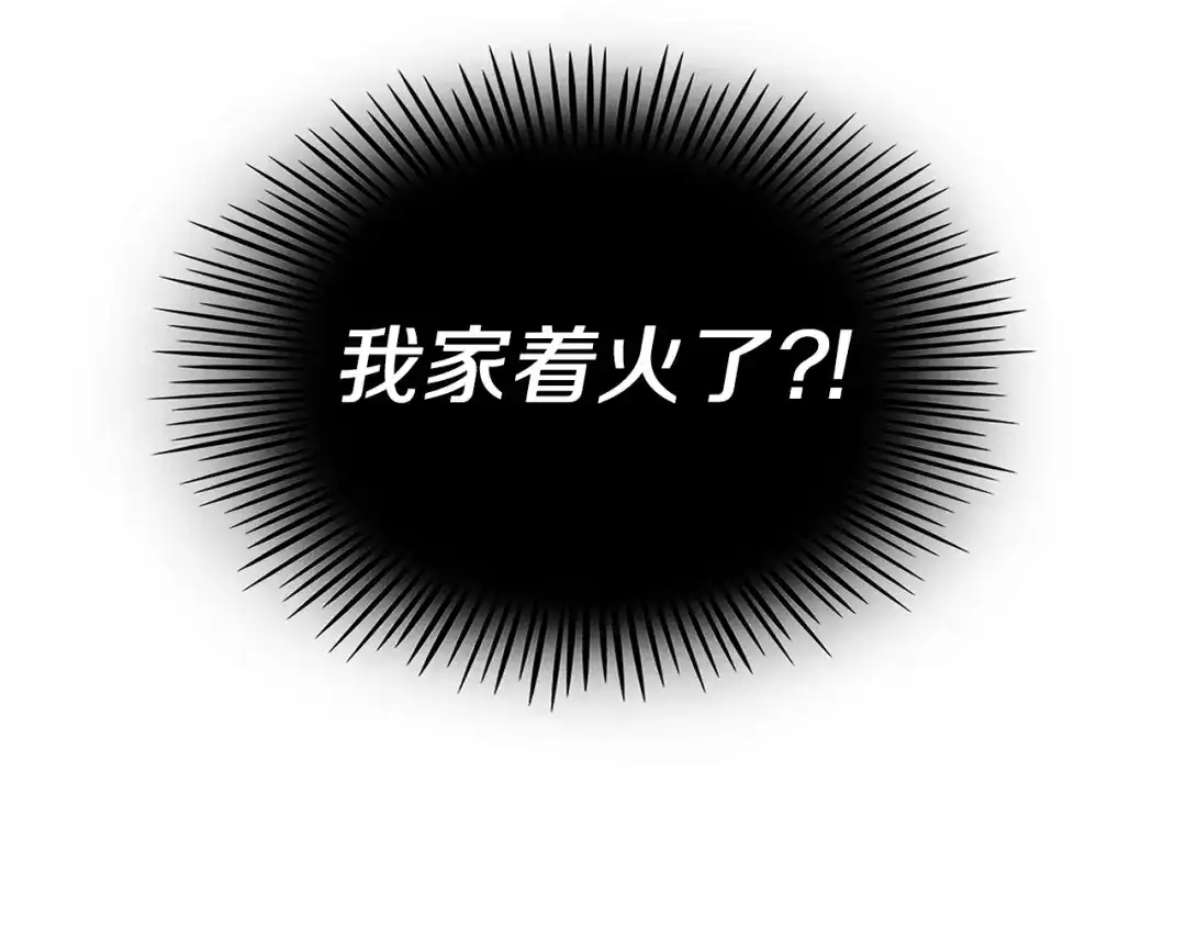 第215页