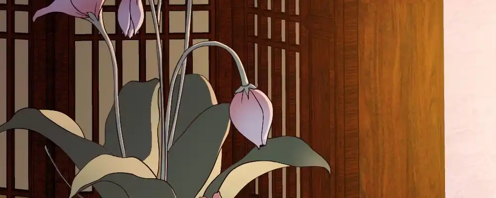 第80页