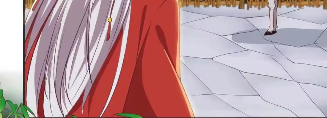 第223页
