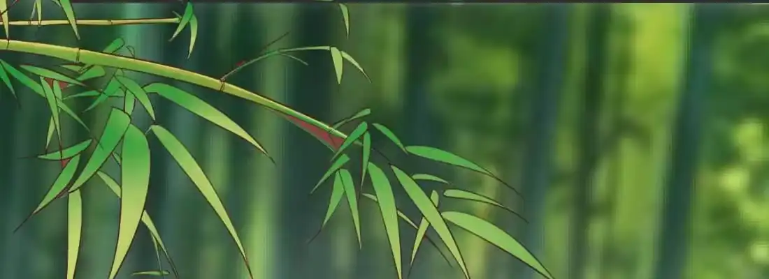 第224页