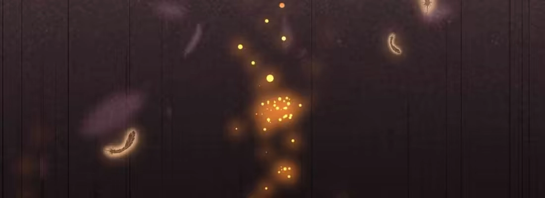 第204页