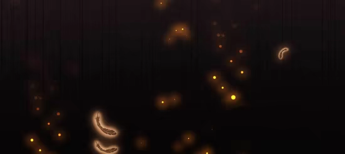 第205页