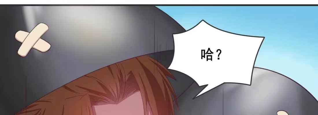 第207页