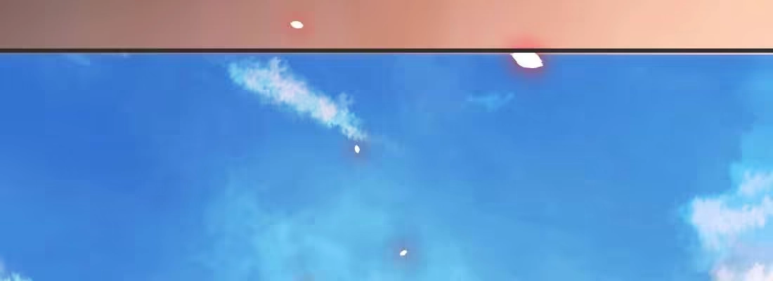 第238页