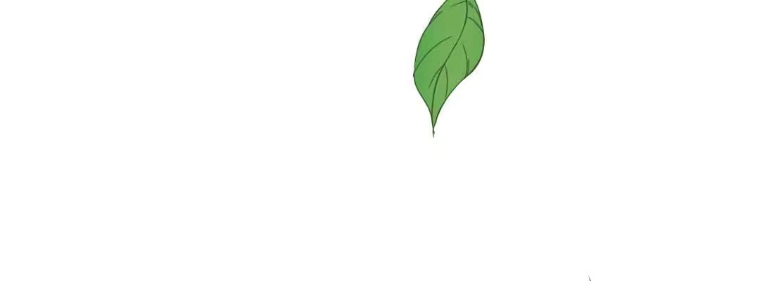 第207页