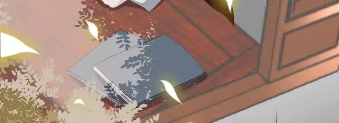 第216页