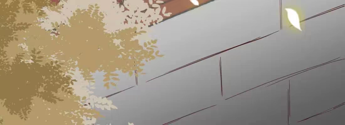 第217页