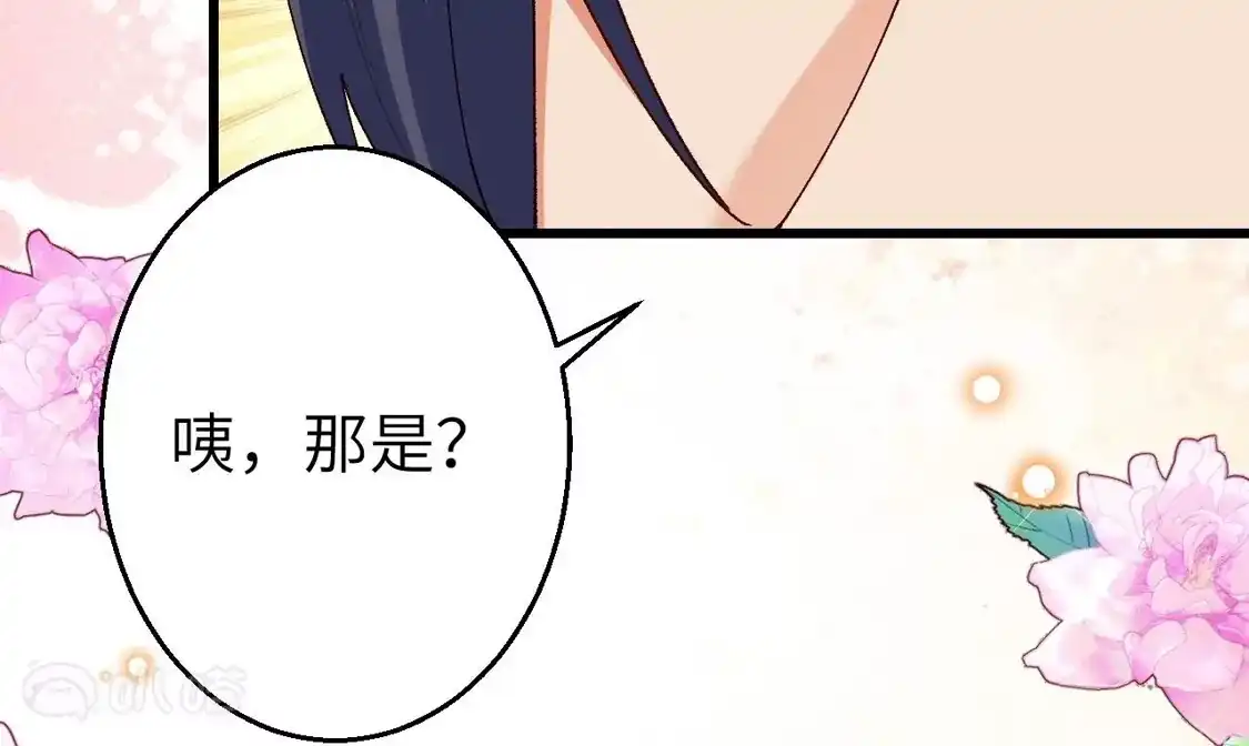 第686页